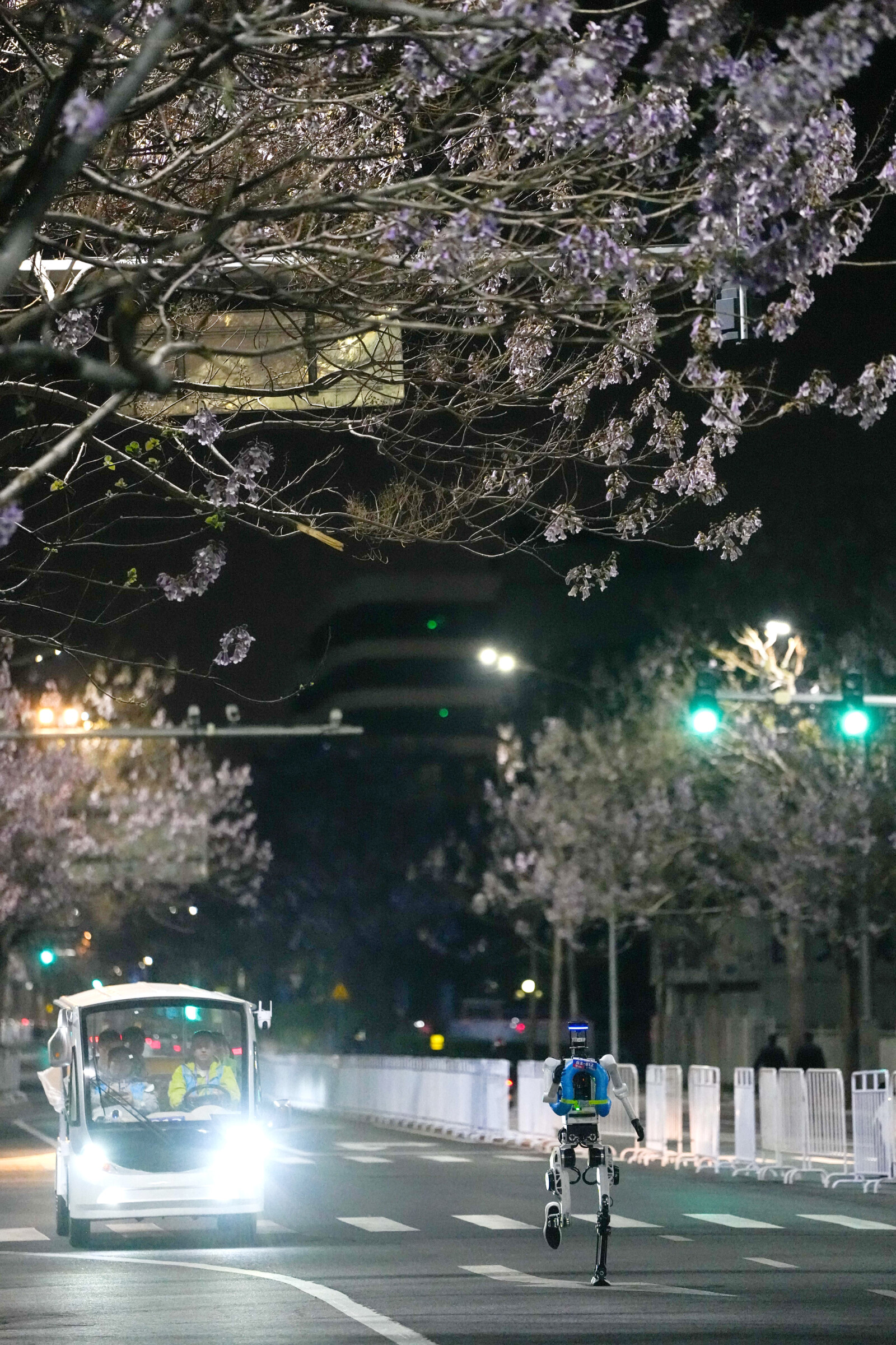 From the night of April 11 to the early hours of April 12, the full-process, all-element test event for the 2026 Beijing E-Town Humanoid Robot Half-Marathon was held in Beijing E-Town. Pictured is a robot running during the test.