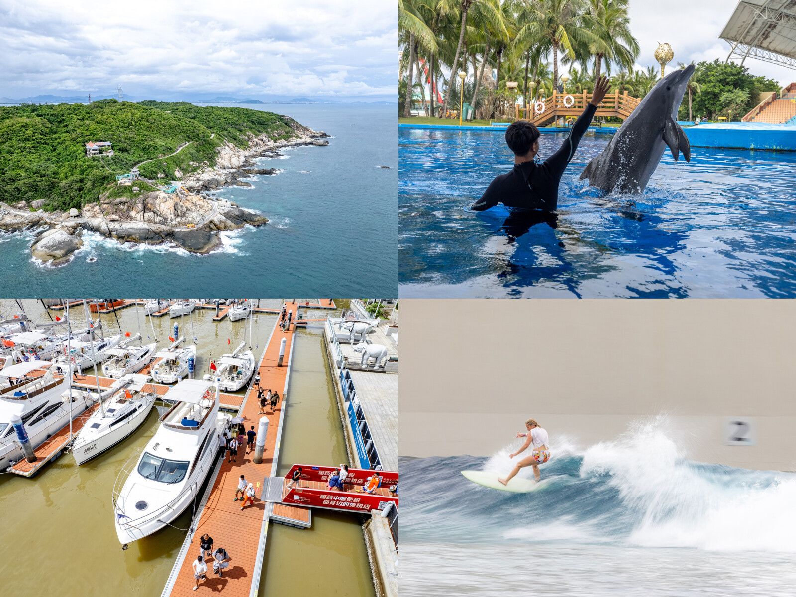 Caption: Global Media Explore Hainan Free Trade Port, Unlocking the New Vitality of the